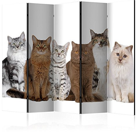 murando Akusticher Raumteiler Katze Foto Paravent 225x172 cm beidseitig auf Vlies-Leinwand Bedruckt Akustikschaum Trennwand Spanische Wand Sichtschutz Home Office weiß braun grau g-B-0066-z-c