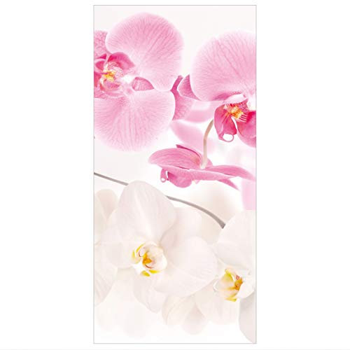 Raumteiler Orchideen Delicate Orchids Orchideen Bild 250x120cm ohne Halterung