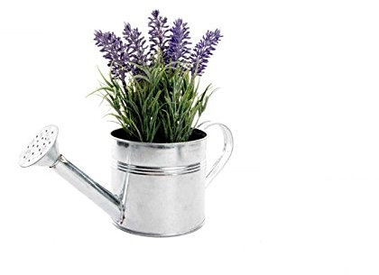 Dcasa - Maceta en Forma de regadera de Metal con Planta de Lavanda Artificial.
