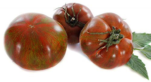 Rarität - Schwarze Krim Tomate - Noire de Crimée - 20 Samen