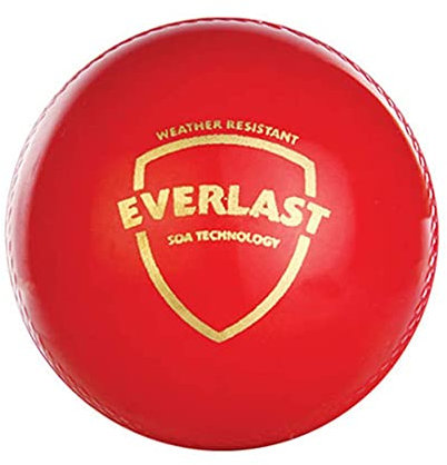 SG Everlast Cricketball aus Leder