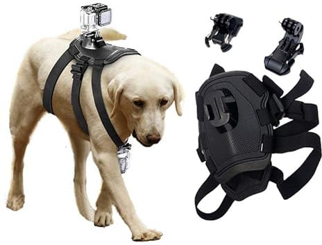 Hundegeschirr Gopro Halter, Weich Und Verstellbar Hundegeschirr Gopro Für Große, Mittlere Und Kleine Hunde Kann Zur Brust- Und Rückenfixierung Verwendet Werden, Geeignet Für Gopro10/9/8/7/6/5