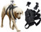 Hundegeschirr Gopro Halter, Weich Und Verstellbar Hundegeschirr Gopro Für Große, Mittlere Und Kleine Hunde Kann Zur Brust- Und Rückenfixierung Verwendet Werden, Geeignet Für Gopro10/9/8/7/6/5