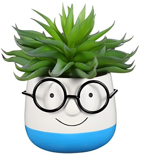 ABOOFAN House Plants Potted Plants Face Vase Face Planters Pots with Glasses Ceramic Succulent Planter for Office Home Desk Plant House Plants Flower Pots Indoor