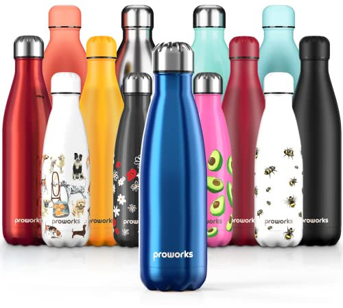 PROWORKS Bouteille d'eau Isotherme, sans BPA, Gourde INOX Reutilisable pour Maintien Chaud de 12 Heures & du Froid Jusqu’à 24 Heures, pour Sport, Gym, Voyage - 500 ML - Bleu