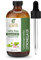 Sheer Essence Ätherische Öle, 118 ml, 100 % rein und natürlich, therapeutisches Öl, große Flasche mit Premium-Glaspipette (Citronella-Öl)