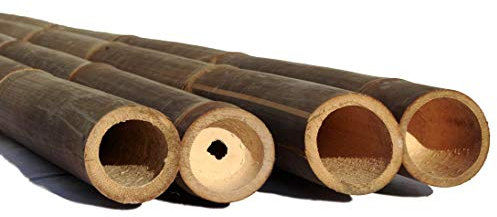 bambus-discount.com 1 tube de bambou de 200 cm, noir et marron foncé, avec 6-8 cm de diamètre et traité au sel de bore