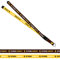 Rico Industries Wyoming Cowboys Schlüsselband, NCAA, offizielles Lizenzprodukt, doppelseitiger Druck, ideal für jeden Fan und Studenten, abnehmbare Schnalle, sicher, funktional und leicht