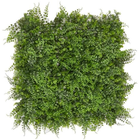 Hansmeier Mur végétal fougère | Jardin vertical | 50 x 50 cm | Montage rapide et extensible | Brise-vue | Panneaux muraux | Plante artificielle