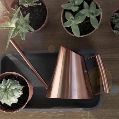 SMZhomeone Annaffiatoio in acciaio inox con ugello lungo da 1 litro per piante da interno ed esterno che raggiungono le radici di piante e piante grasse (900 ml di rame)