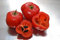 25 Semillas Red Manzano Guindilla, Capsicum pubescens Chile, Rocoto Locoto árbol:Seeds Only