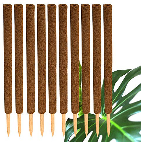 BigDean 10er Set Pflanzstäbe Kokos 80 cm - Monstera Rankhilfe Rankstäbe Stab Moosstäbe Pflanzenstäbe Kokosstäbe für Pflanzen - aus natürlicher Kokosfaser - verlängerbar