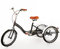 LENJKYYO Dreirad für Erwachsene 20 Zoll 1-Gang Fahrrad Mit Korb 3 Räder Trike Seniorenrad Tricycle Mit Einkaufskorb (Schwarz)
