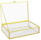 DRERIO Joyero de Cristal Caja - Decorativa Grande de Joyería Transparente de Exhibición del Almacenaje Rectangular para Anillo pendiente baratijs(15x10x5cm)