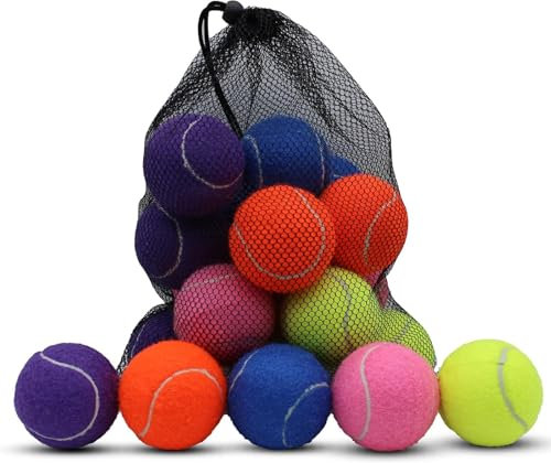 Magicorange Tennis Balls for Dogs - Pet Playing Balls With Mesh Bag for Easy Transport, Colorful Easy Catching Multi-color Dog Toys