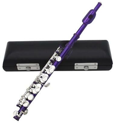 Querflöte Lila Piccolo 16 Löcher+E-Taste Holzblasinstrument Halbgroße Flöte Kupfernickel Mit Lederbox Musikinstrument