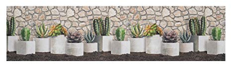 BIANCHERIAWEB Tappeto Passatoia Antiscivolo Stampa Digitale Sprinty Dis. Cactus Malaga 50x180 Malaga