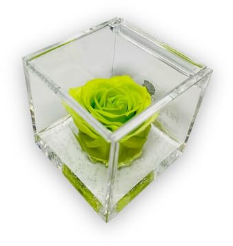PremiumRose 6cm Rose Cube Stabilisée Verte avec Vraie Rose Eternelle, Idée Cadeau Maman, Petite Amie, Anniversaire, Remise de Diplôme (Verte - A 1069)