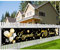 70. Geburtstag Banner, Legende Seit 70 Jahren Glitzerbanner, deko 70 geburtstag Lange Banner für Männer und Frauen 70. Geburtstagsfeier Party, 300 * 50cm (Gold)