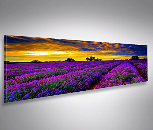 islandburner Bild Bilder auf Leinwand Lavendelfeld V4 Lavendel Provence Panorama XXL Poster Leinwandbild Wandbild Dekoartikel Wohnzimmer Marke