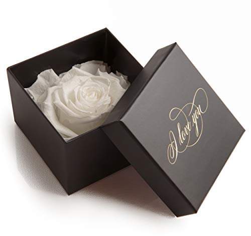 Rose éternelle blanche boîte cadeau I Love You déclaration d'amour Je t'aime (Blanc)