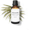 Citronella Essential Oil Ceylon 50 Ml