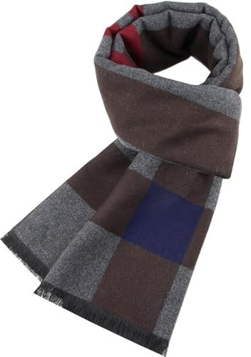 FLOBBS Herren Schal Winter - Elegant Classic Plaid Warmer Weicher Winterschal für Männer - Komfortabel Casual Business Lange 180x30cm