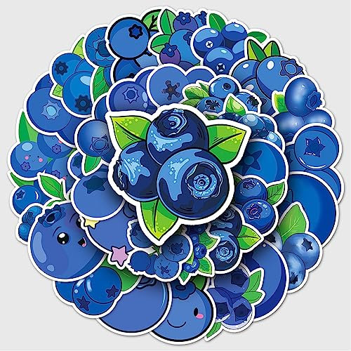Bric Dodo 50 Stück Blaubeeren Aufkleber Auto Laptop Telefon Gitarre Skateboard Motorrad Fahrrad Blaubeeren Stickers Set Vinyl Wasserdicht Aesthetic Aufkleber für Jugendliche Kinder Erwachsene