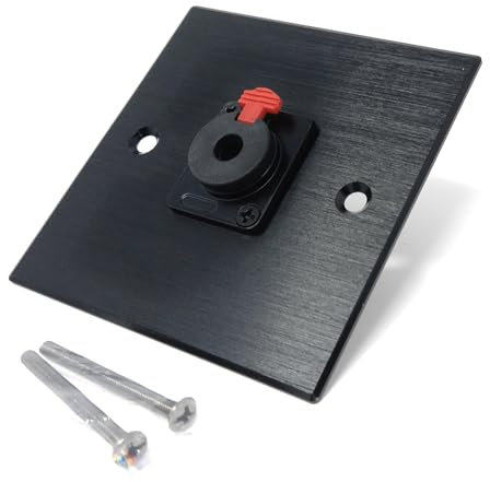 Plaque murale en aluminium brossé pour prise jack 6,35 mm Série D – Plaque métallique durable avec vis incluses