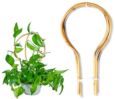 Bambus-Rankhilfe 38,1 cm Schlaufe – geformt für Topfpflanzen, rundes Bambus-Rankgitter, kleines Rankgitter für das Training von Hoja-Pflanzen, Efeu-Pflanzen, Monstera-Gurke und Früchten – 3 Stück