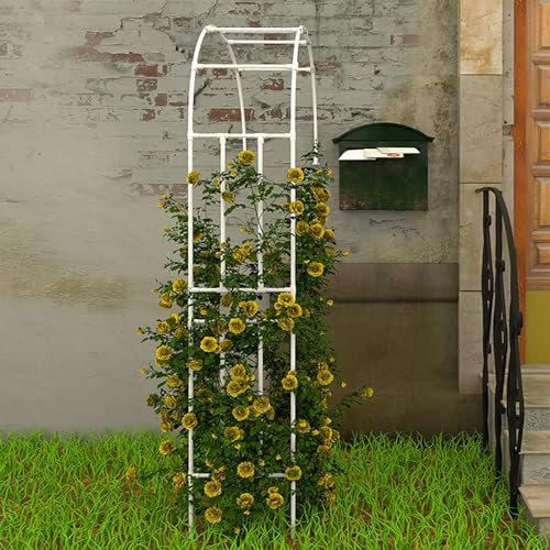 Kanduo Garden Half Arch Support, Garden Wall Half Arch, Pergola Gazebo Outdoor Garden Deck Arch Vine Support Frame Garden arbor arch(180x240x40cm)