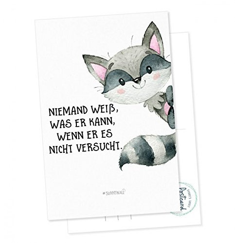 Postkarte Waschbär - Niemand weiß, was er kann, wenn er es nicht versucht