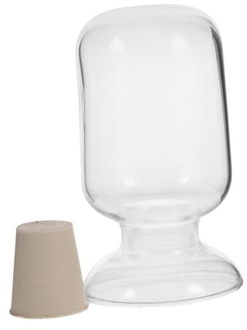 Alipis Bouteille Verre Vide Avec Bouchon Bouteille De Stockage Échantillon Transparente