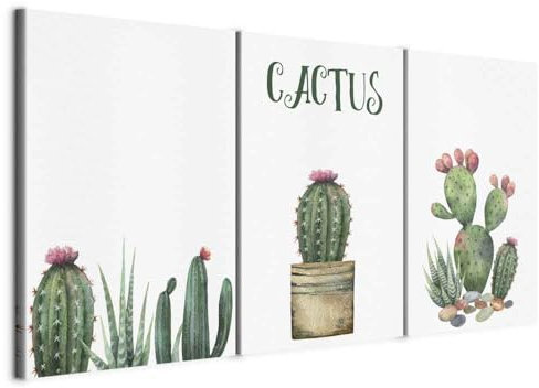 murando Quadro Cactus 120x60 cm 3 pezzi Stampa su tela in TNT XXL Immagini moderni Murale Fotografia Grafica Decorazione da parete Natura bianco verde b-B-0304-b-e