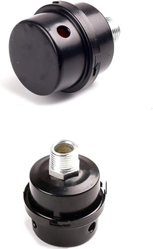 Dtacke Lot de 2 pièces de compresseur d'air en métal avec filtre d'admission et silencieux