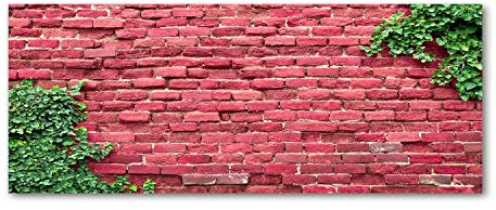 Tulup Crédence de Cuisine 125x50cm Dosseret en Verre Fond de hotte Verre de sécurité trempé Splashback Guard - Divers - Rouge - Mur De Briques