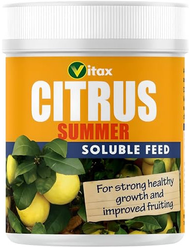 AMK® Vitax Summer Food for Citrus Trees House Plant Feed Fertiliser 200g Fruit Tree Orange Lemon