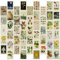 Tenorbass 50 PCS Vintage Postkarten Wand Collage Kunst Natur Tier Postkarten 4x6 Doppelseitig bedruckt Lustige Karten für DIY Dekor Zimmer, Assorted Postcards Tiere Pflanzen Set