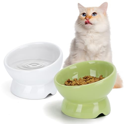 Nobleza - 2 Stück Katzennapf, Keramik Futternapf Katze mit 15°Neigung Design, Anti-Erbrechen Katzennäpfe, Katzenfutternapf für Futter und Wasser, perfekt für Katzen und kleine Hunde (Weiß & Grün)