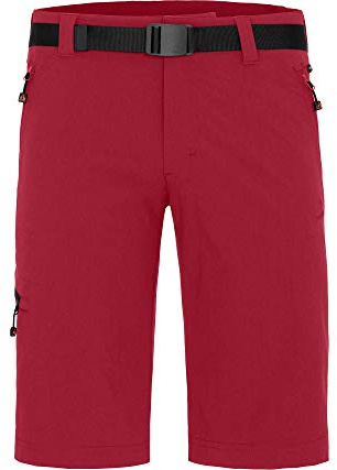 Bergson Redwood Bermuda | Herren Wandershorts, vielseitig, pflegeleicht, Scooter [169], 54 - Herren