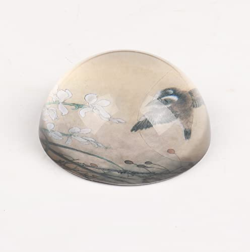 Kristallkugel Orchidee Sparrow Vogel Halbkugel Glas Halbkugel Briefbeschwerer Heimdekoration Ornamente Kugel Miniatur Kreative Geschenke