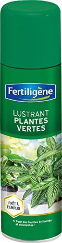 FERTILIGENE FLUSTRN - Lustrant Aérosol Plantes Vertes Prêt à L'emploi 200 ml - Pour des feuilles visiblement brillantes et éclatantes -Soin des plantes vertes de la maison
