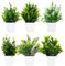 Royouzi Lot de 6 petites plantes artificielles en pot - Plantes artificielles pour chambre à coucher, salle de bain, cuisine, maison - Décoration intérieure avec pot - Fausses plantes (blanc)
