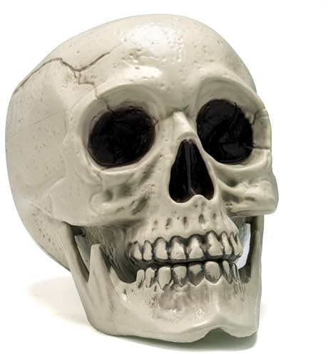 JOYIN - Modello di Teschio Umano a Grandezza Naturale di Halloween, Decorazione di Scheletro di Halloween per Interni ed Esterni per Dolcetto o Scherzetto