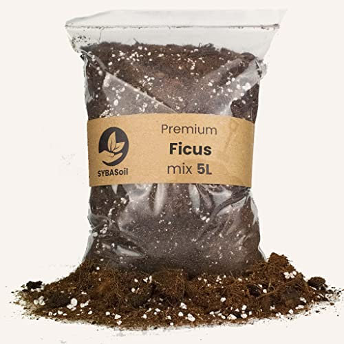Premium SYBASoil Ficus Erde 5 Liter, Torffrei, Cocos Substrat, Pflanzerde