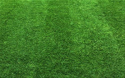 25 kg Rasensand Gartensand Rasenpflege lehmfrei Düngehilfsstoff Körnung 0,8-1,6 mm