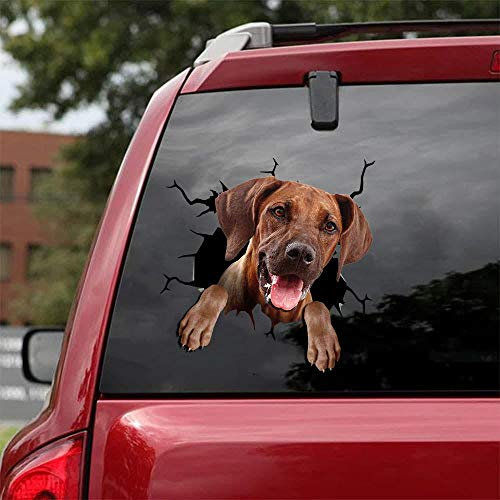 Ocean Gift Rhodesian Ridgeback Auto Abziehbilder, Hund Auto Aufkleber 2 Stück - Realistische Rhodesian Ridgeback Aufkleber für Autofenster, Wände Serie 81 Größe 20,3 cm x 20,3 cm