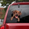 Ocean Gift Rhodesian Ridgeback Auto Abziehbilder, Hund Auto Aufkleber 2 Stück - Realistische Rhodesian Ridgeback Aufkleber für Autofenster, Wände Serie 81 Größe 20,3 cm x 20,3 cm