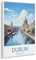 Dublin Irland，Puzzle 1000 Teile für Erwachsene, Klassische Puzzle Puzzle Schwierig für Kid Surprise Birthday für Family Home Decor Art Puzzle（50x70cm）-U45