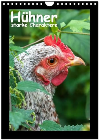 Hühner - starke Charaktere (Wandkalender 2026 DIN A4 hoch), CALVENDO Monatskalender: Hühnerportraits (CALVENDO Tiere)